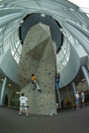 Jerry D. Morris Recreation Center Climbing Wall by Texas A&M University-Commerce