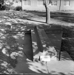T Bench by East Texas State College