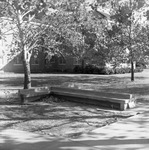 T-Bench by East Texas State College