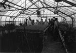 Greenhouse Interior, Front by East Texas State University