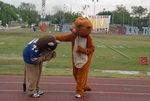 Lucky and Lucy the Lions by Texas A&M University-Commerce