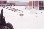 The Bowl Covered in Snow by East Texas State University