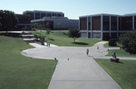 The Bowl by East Texas State University