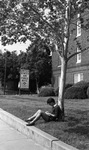 Student Studying Under Tree by East Texas State University