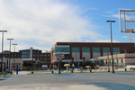 The Great OutRoars Basketball Courts by Josephine Rickman