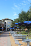 Pride Rock Residence Hall Exterior by Josephine Rickman